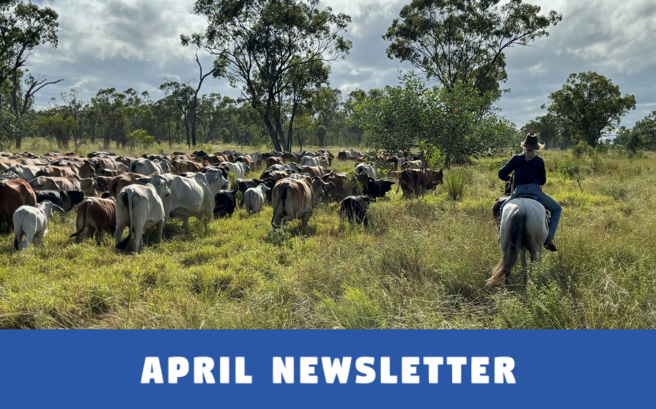 April Newsletter 2025