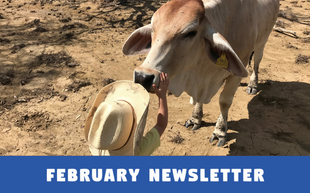 FEBRURARY Newsletter 2025