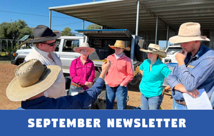 September Newsletter 2024