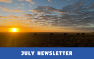 JULY newsletter 2025