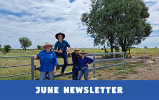 June Newsletter 2026