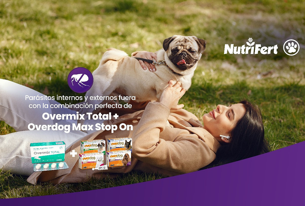 WhatsApp Image 2024-05-22 at 8.52.35 AM.jpeg