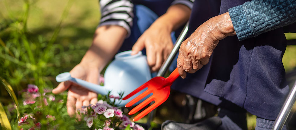 Travel, Grandchildren, and Gardening: Staying Energised for What You Love