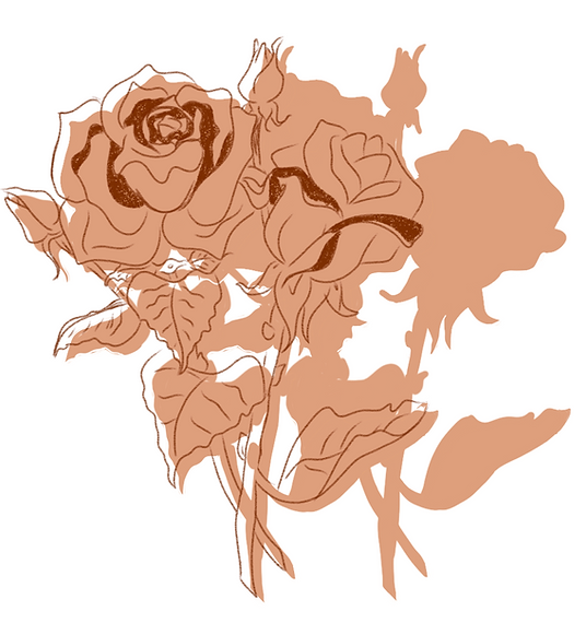 Todo dia é dia de florescer