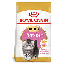 Persan Chaton - Nourriture sèche pour chatons | Royal Canin