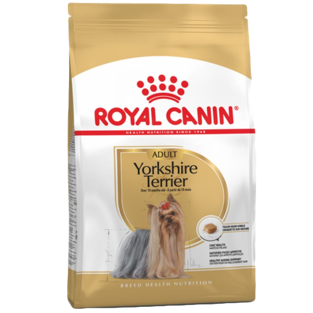Yorkshire Terrier Adulte Royal Canin chien Animal Expert St-Bruno