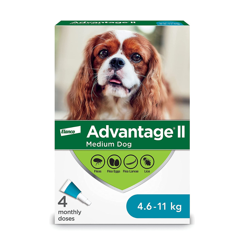 Protection contre puces et tiques Bayer Advantage II pour moyen chien
