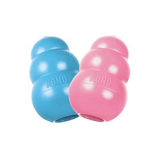 Kong puppy