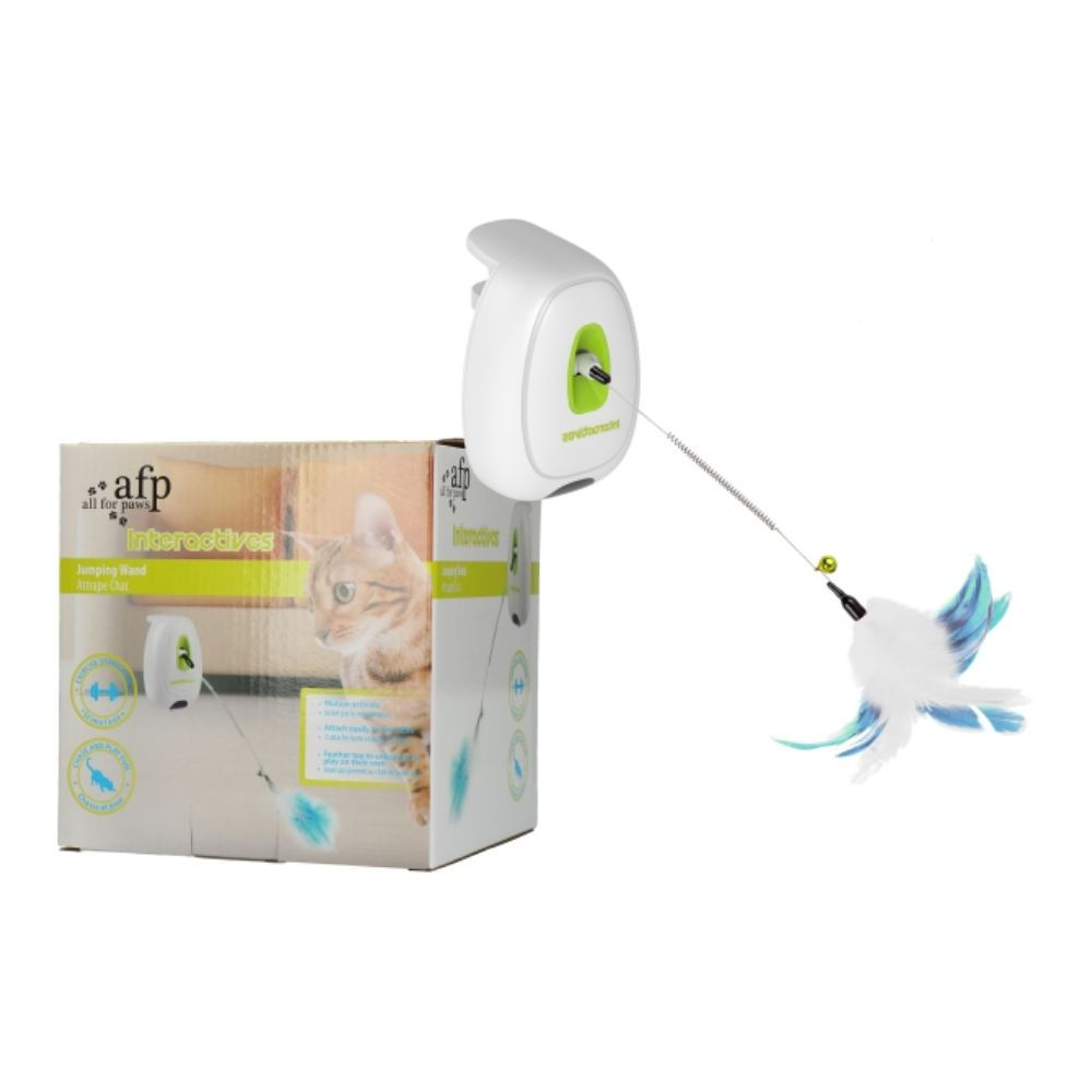 Baguette-interactive-AFP-chat-Animal-Expert-St-Bruno