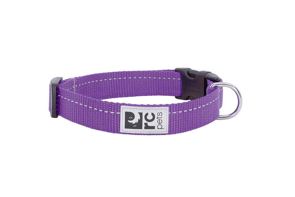 Miniature : Clip collier violet RC Pets pour chien Animal Expert St-Bruno