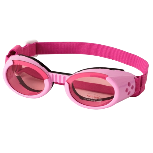 Lunette de soleil rose pour chien Doggles Ils Animal Expert St-Bruno