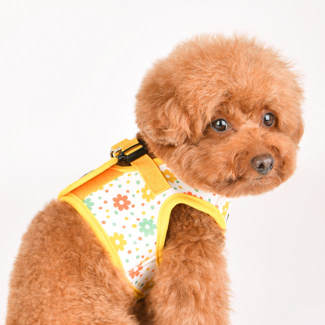 Miniature : Harnais-chien-PAVA-HB1910-Puppia-Animal-Expert-St-Bruno