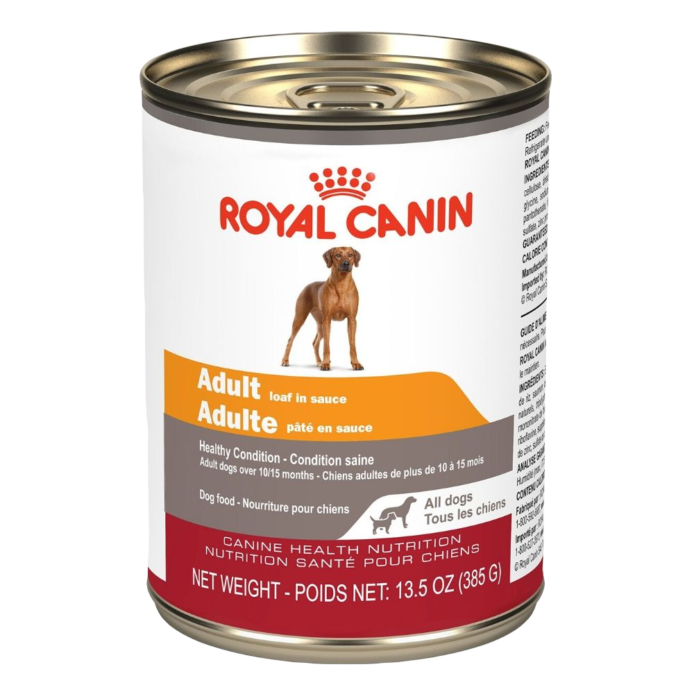 Pate Tous chien adulte Royal Canin Animal Expert St-Bruno