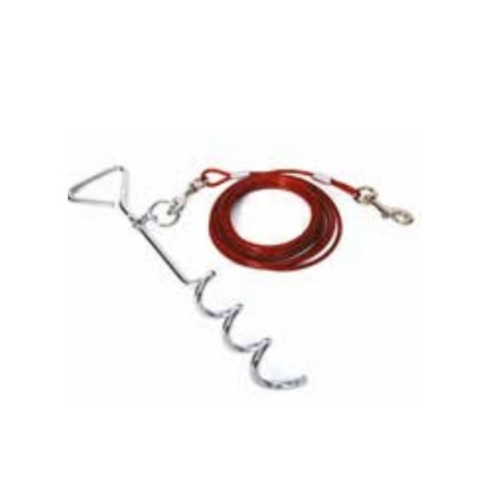 Pieu avec câble pour chien Budz Animal Expert St-Bruno