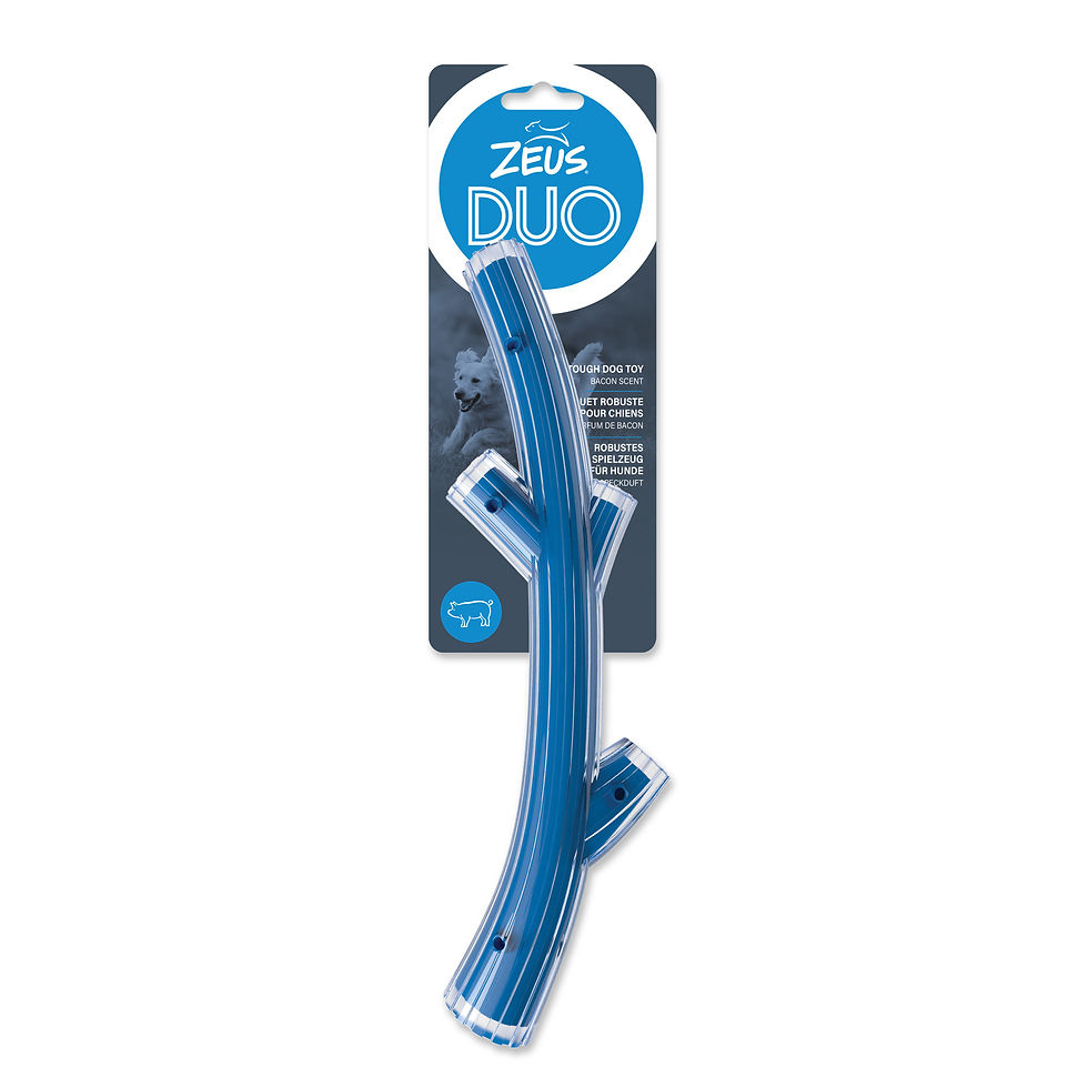 Miniature : Stick large duo Zeus pour chien Animal Expert St-Bruno