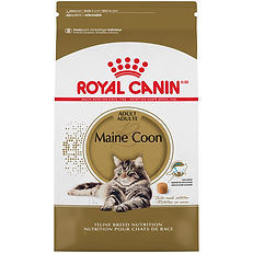 Maine Coon - Nourriture sèche pour chat | Royal Canin