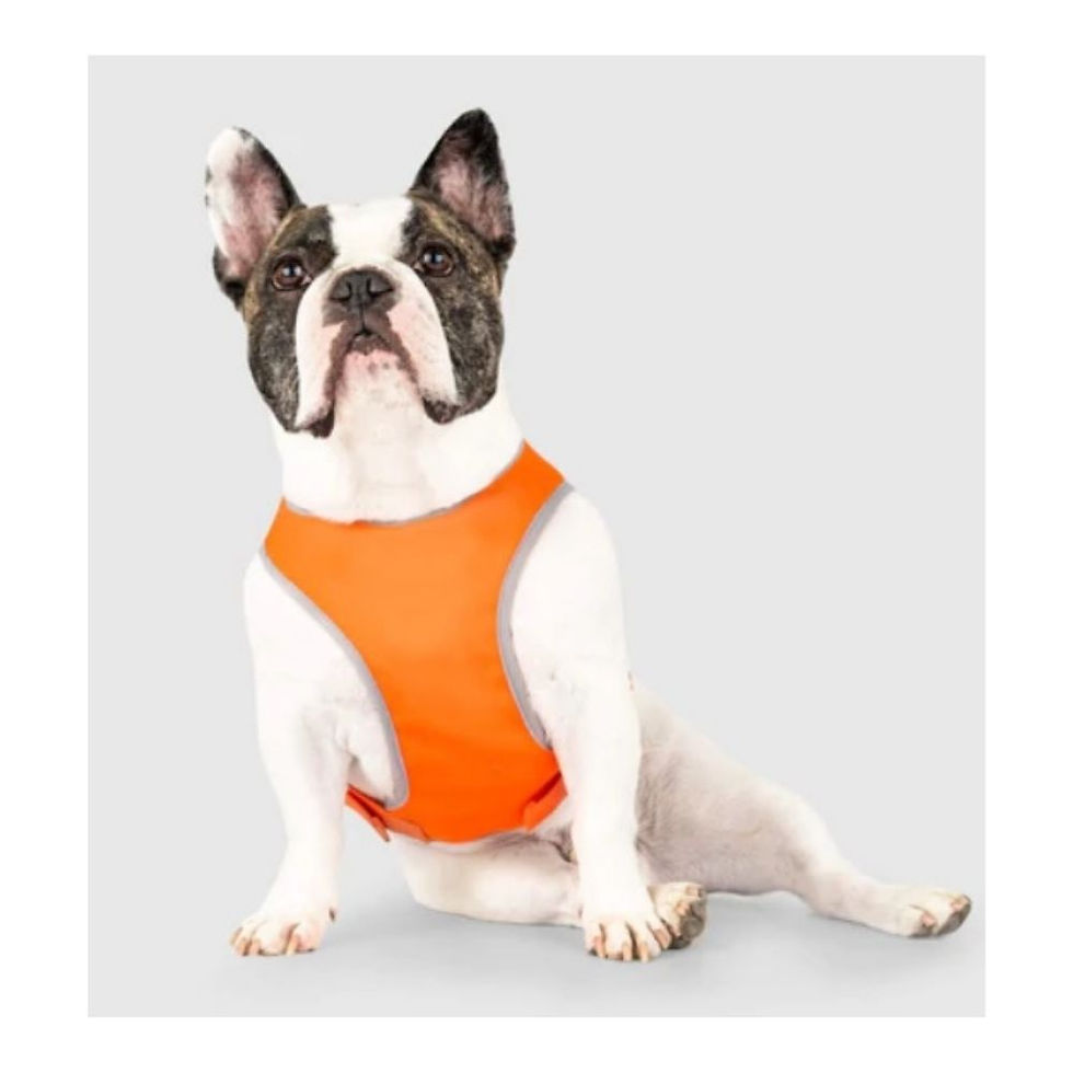 Miniature : Gilet de sécurité haute visibilité Canada Pooch pour chien Animal Expert St-Bruno