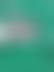 TOUR CATAMARÁN DEL CARIBE