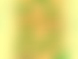 Samantha Steele and the Indiana Money Trail