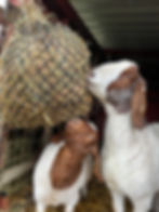 Thumbnail: Bale of Hay