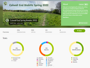 Cotwall End Spring BioBlitz
