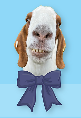 Goat Experience Voucher