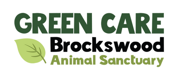 Green Care Logo Rectangle.png