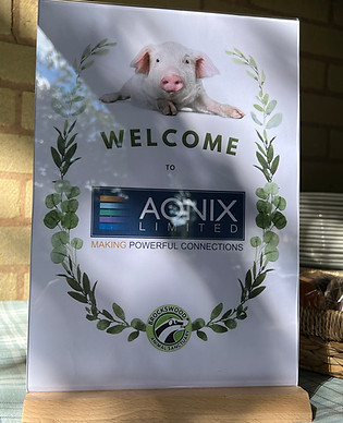 Aonix