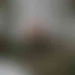 Nialle of NOBY Trees & Gardens generously donated his time to clear one of out fallen trees.