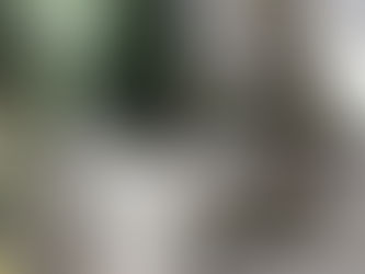 太極拳便り2019.7.12