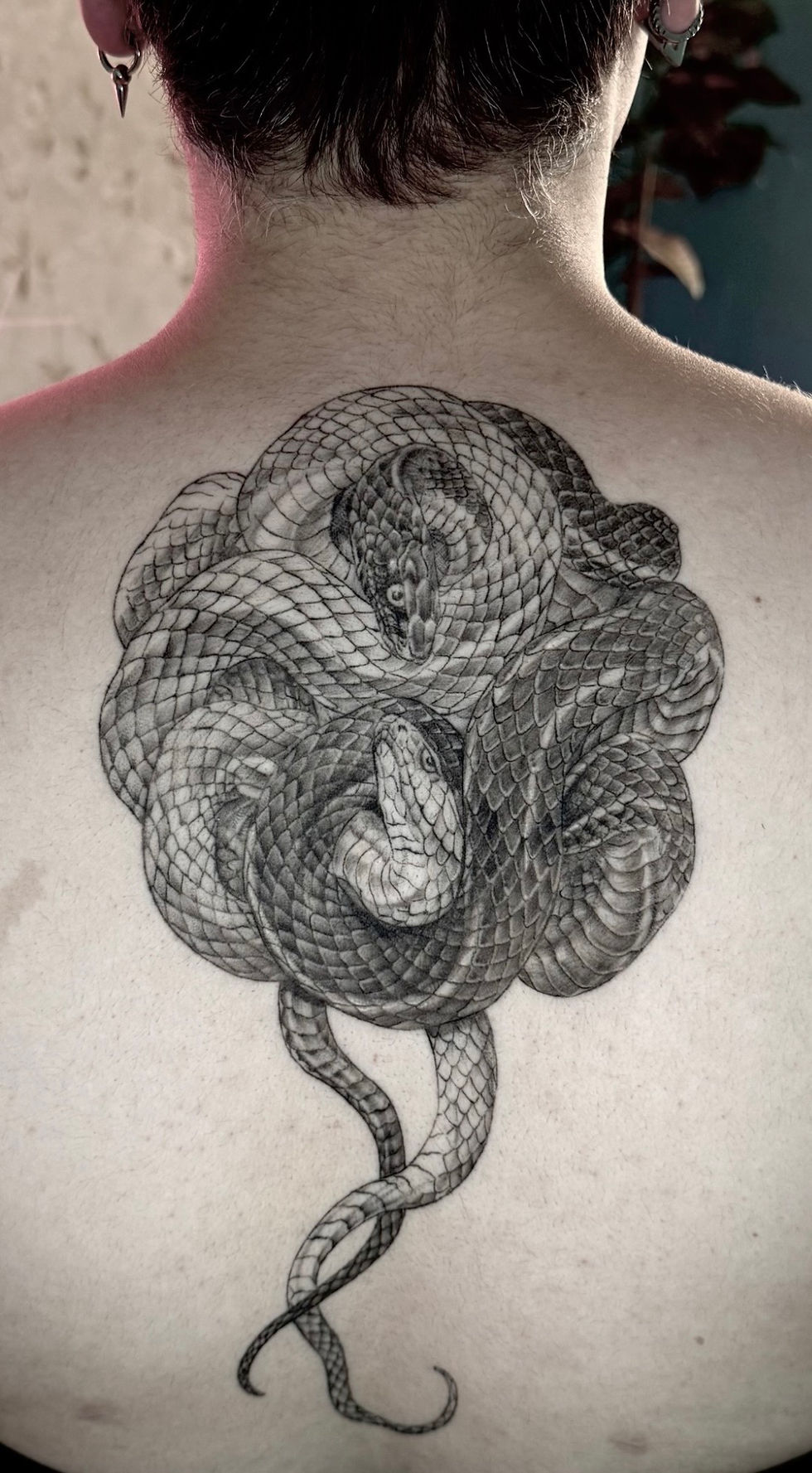 tattoo ink bunker snakes raha maple ridge