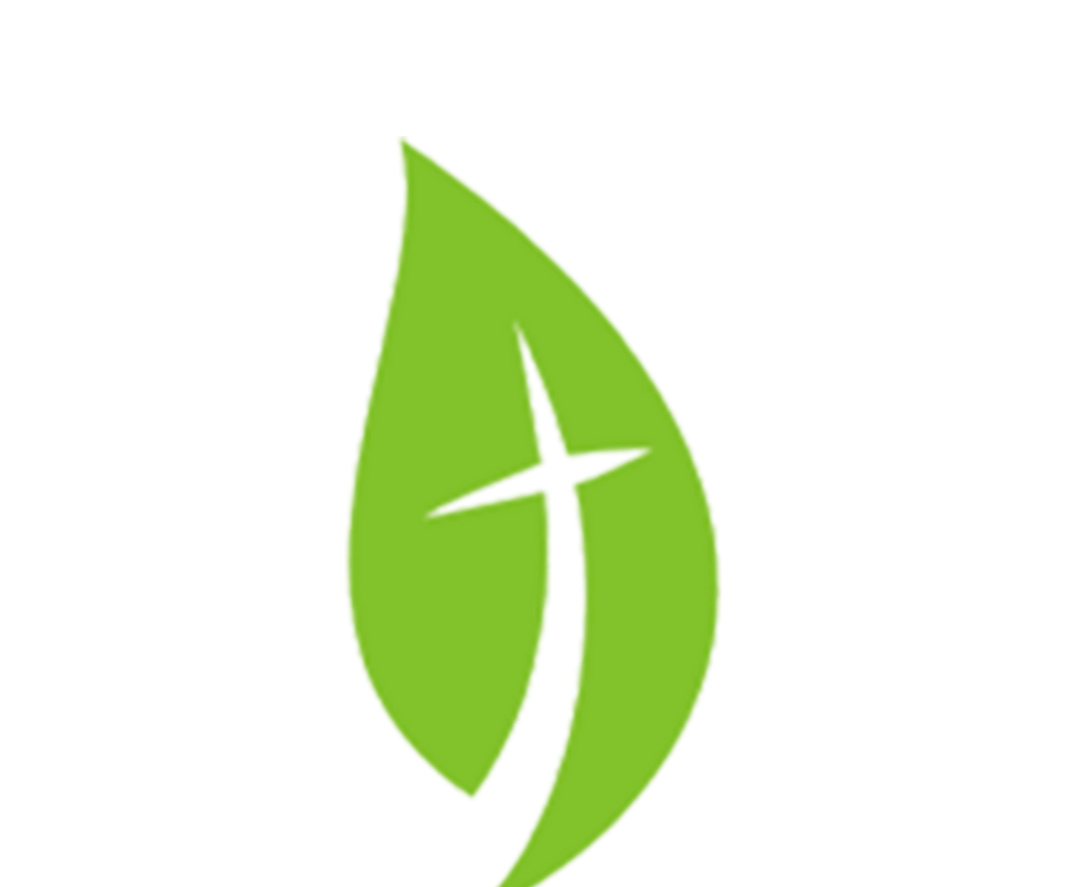 oak leaf with cross