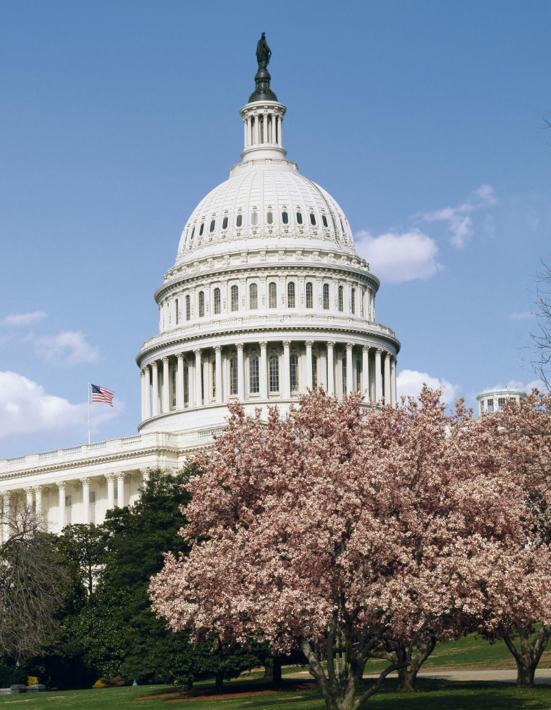 Capitol Building VIP Tour