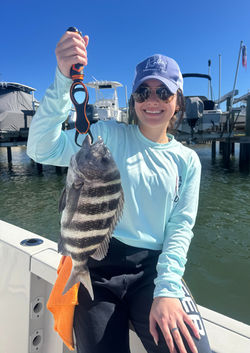 Jena Sheepshead_edited