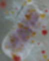 frozen capsule.png