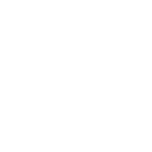 conchiglia spirale white_edited_edited_e