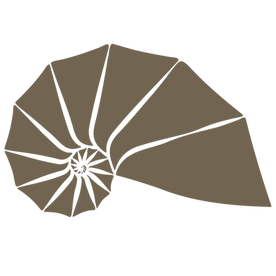 conchiglia spirale dark gold_edited_edited_edited.png