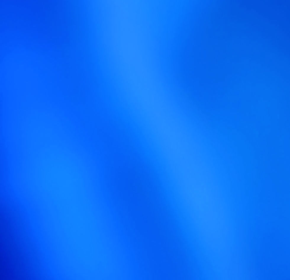 private investigator, process server, fingerprinting