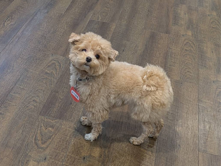 イメージチェンジ!