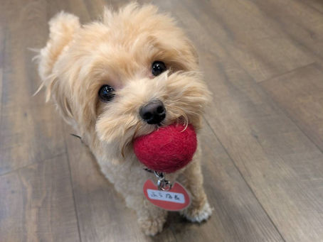 だんだんと暑さが増す季節になりましたが、