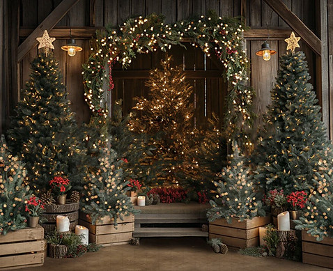 Rustic Twinkle Trees Holiday Mini Photo Session Backdrop