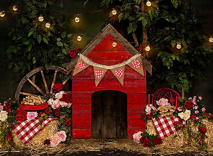 Dog Cropped  (1 of 2).JPG