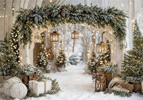 Snow Kissed Garland Arch Holiday Mini Photos Backdrop