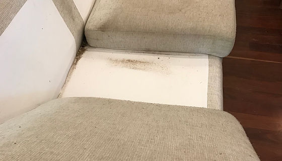 20190312_011215623_iOS