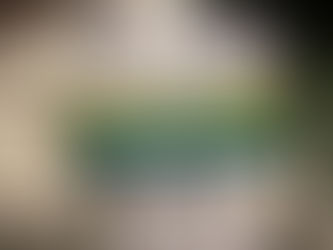 Day 49 - RAA Sect 6 - July 30th