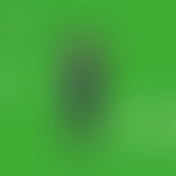 サマーシリーズのロングジョンとショートジョン