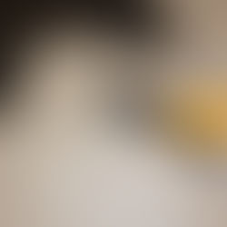 フリーダイビング用ウェットスーツのゴムの話