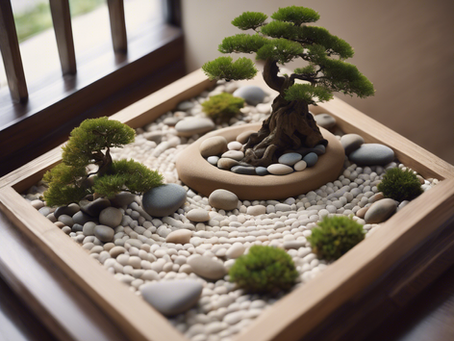 Enhance Your Well-being with Mindful Relaxation Sessions