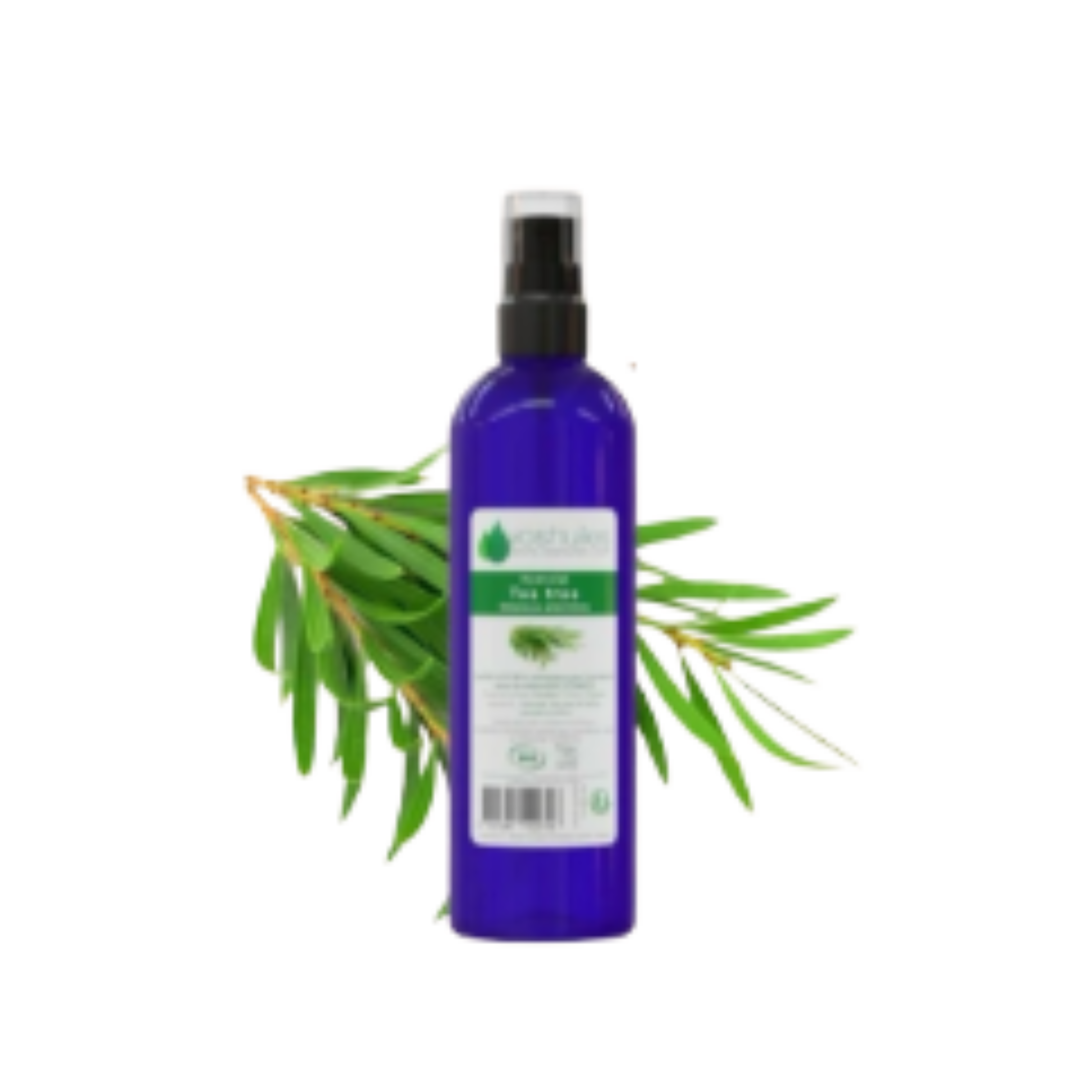 Hydrolat Tea Tree