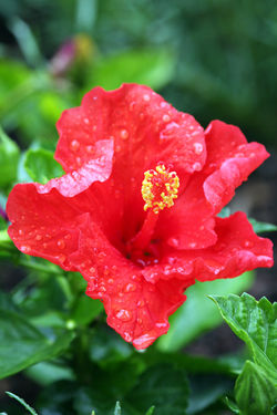 re1 (293)